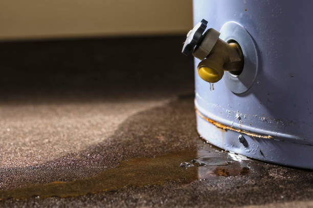 Best Commercial water damage restoration  in Greenhills, OH