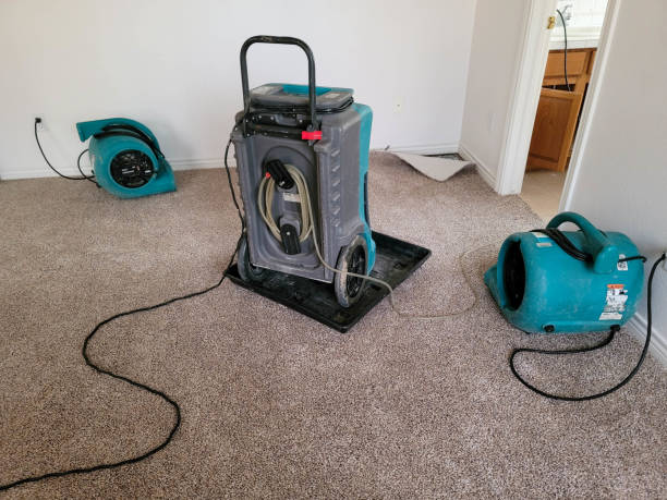 Best Water damage cleanup near me  in Greenhills, OH