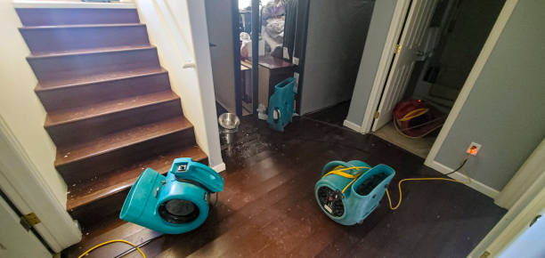 Best Residential water damage restoration  in Greenhills, OH
