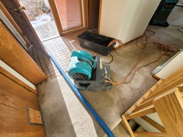 Best Water damage restoration near me  in Greenhills, OH