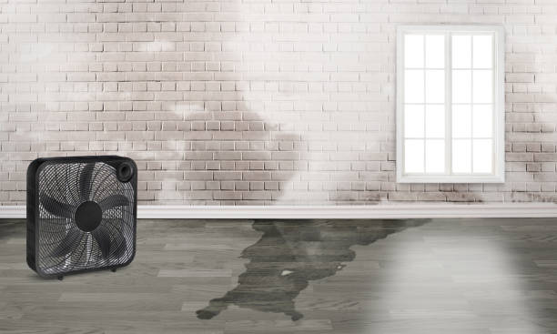 Best Local water damage restoration  in Greenhills, OH