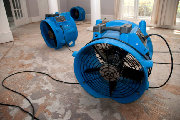 Best Sewage cleanup and water damage restoration  in Greenhills, OH