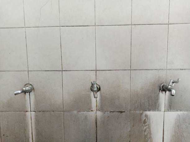 Best Emergency water damage restoration  in Greenhills, OH