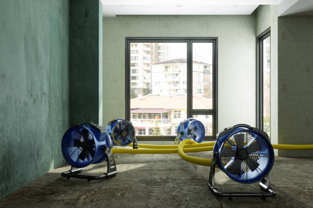 Best Ceiling water damage repair  in Greenhills, OH