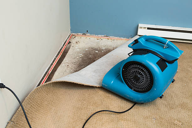 Best Emergency water damage restoration  in Greenhills, OH